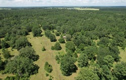 1080 CR 4020, Crockett, TX 75835