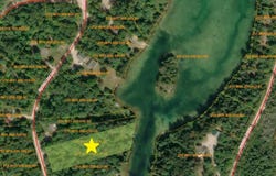 14703 Shore Line Drive, Wolverine, MI 49799