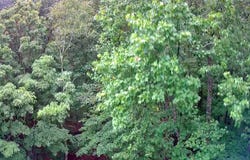 0 Tn-156, South Pittsburg, TN 37380