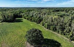 1767 Flanders Road, Charlotte, MI 48813
