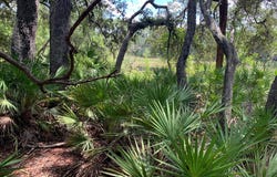 126 PECAN Avenue, Interlachen, FL 32148