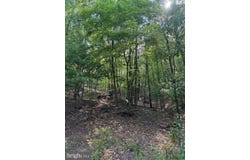 699 CHICKLOON LANE, GREAT CACAPON, WV 25422