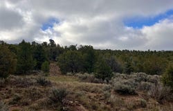 2114 County Road 318, Ignacio, CO 81137