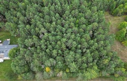5455 Chaison Road, Gladstone, MI 49837