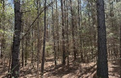 County Road 4102, Goodman, MS 39079