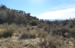24881 Jacaranda Drive, Tehachapi, CA 93561