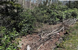 117 Wild Daisy Lane, Beech Mountain, NC 28604