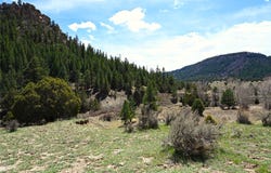 Tbd CR 352, Lumberton, NM 87528