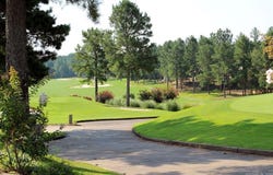 18 Oro Way, Hot Springs Village, AR 71909