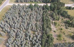 PARCEL B DANBURY ROAD, PARADISE TWP, MI 49649