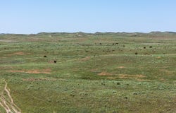 0000 HWY 385, Bonner, NE 69331