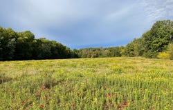 140th Avenue, Foreston, MN 56330