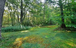 256 Pine Hill Road, Sterling, CT 06377