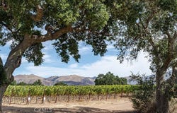 6893 Foxen Canyon Road, Los Olivos, CA 93441