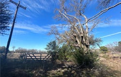 2133 FM 2423, Grapeland, TX 75844