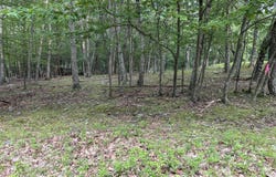 Lot 7 Cardinal Drive, Bushkill, PA 18324