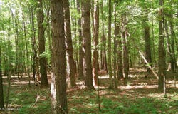 Pleasant Hills Road, Amory, MS 38821