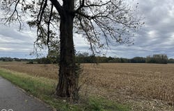 S Marietta Drive S, Shelbyville, IN 46176