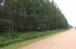 34+ac On DEER SHINERS RD, Gleason, WI 54435