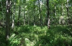 N189 Clark Dr, Withee, WI 54498