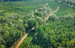 CR 4101, New Site, MS 38859