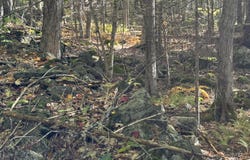 266 Mountain Road, Washington, ME 04574