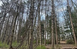 Tippecanoe Road, Knox, PA 16232
