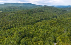 Pratt Bridge Road, Jamaica, VT 05143