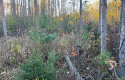 State Hwy 23 S, Sandstone, MN 55072