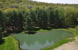 280 Dodd Rd, Windsor, NY 13865
