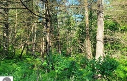 Quigley Road, Alger, MI 48610