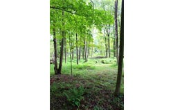0 SR 258, Liberty Twp, PA 16127