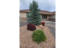 1285 Peppertree Drive, Montrose, CO 81401