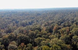 5302 bend rd, Vaughan, MS 39179