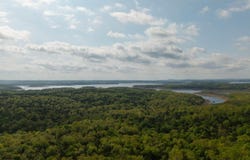 178 Round Robin Lane, Theodosia, AR 65761