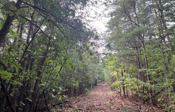 Cherokee Hills Drive, Rydal, GA 30171