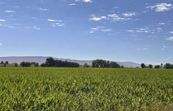5675 Road, Delta, CO 81416