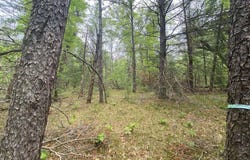 Stitt Lane, Mio, MI 48647