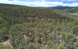 McComb Road, Edgewood, NM 87015