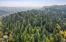 N Shasta Loop, Eugene, OR 97405