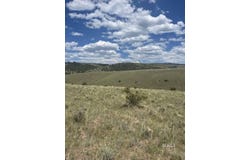 365 Marcy Ave, Westcliffe, CO 81252