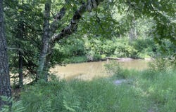 24570 W Riverside Drive, Hillman, MI 49746