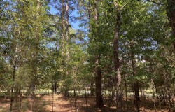 0 Sandy Springs Road, Pelzer, SC 29669