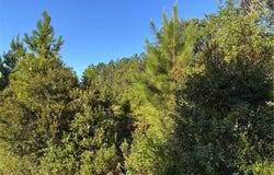 00 HORSESHOE COVE RD Cove, Waverly, GA 31565
