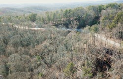 218 Otter Way, Dahlonega, GA 30533