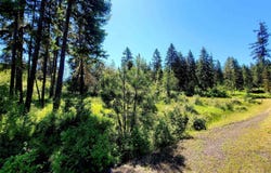 1337 Tie Creek Dr, Orofino, ID 83544