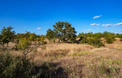 12805 Blackjack Rd., TX 76842