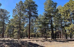 Badger Trail S, Ridgway, CO 81432
