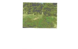 Argyll  DR, Bella Vista, AR 72715