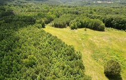 525 Overlook Road, Blountsville, AL 35031